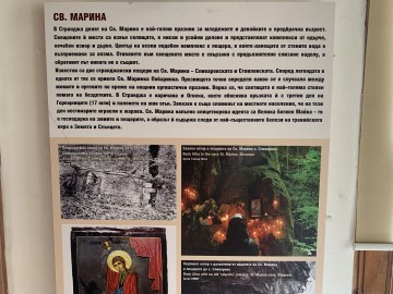 IMG_6247.jpg