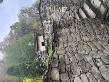 IMG_3159.jpeg
