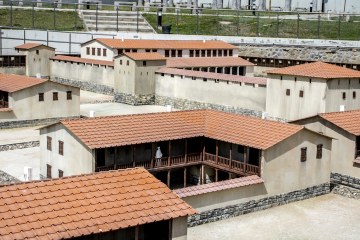 _MG_1038.jpg