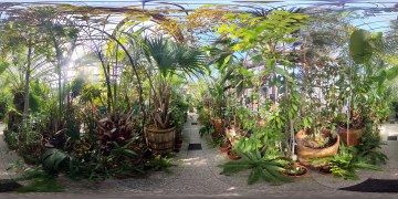 BotanicGarden9.jpg