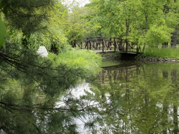 lake.jpg