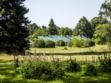 greenhouse.jpg