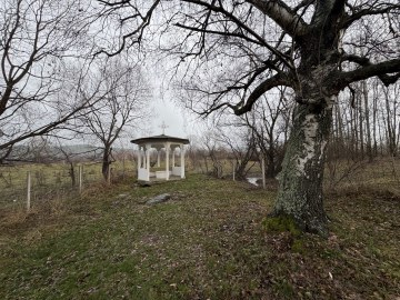 IMG_3351.jpg