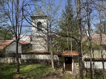 IMG_3759.jpg