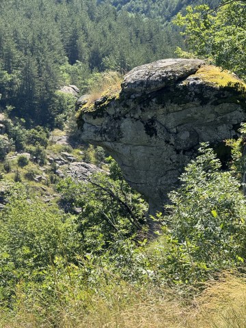 IMG_4167.jpg