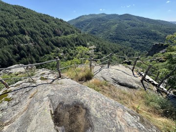 IMG_4175.jpg