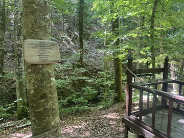 IMG_3947.jpg